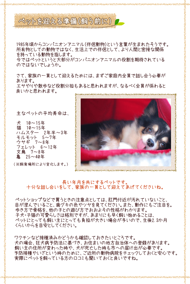 ペットを迎える準備（飼う前に）～長い年月を共にするペットです。充分な話し合いをして、家族の一員として迎えてあげて下さいね。