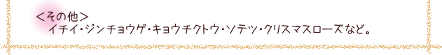 ワンちゃん・ニャンちゃんにとって、注意したい植物／その他－イチイ・ジンチョウゲ・キョウチクトウ・ソテツ・クリスマスローズなど